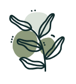 Decoration